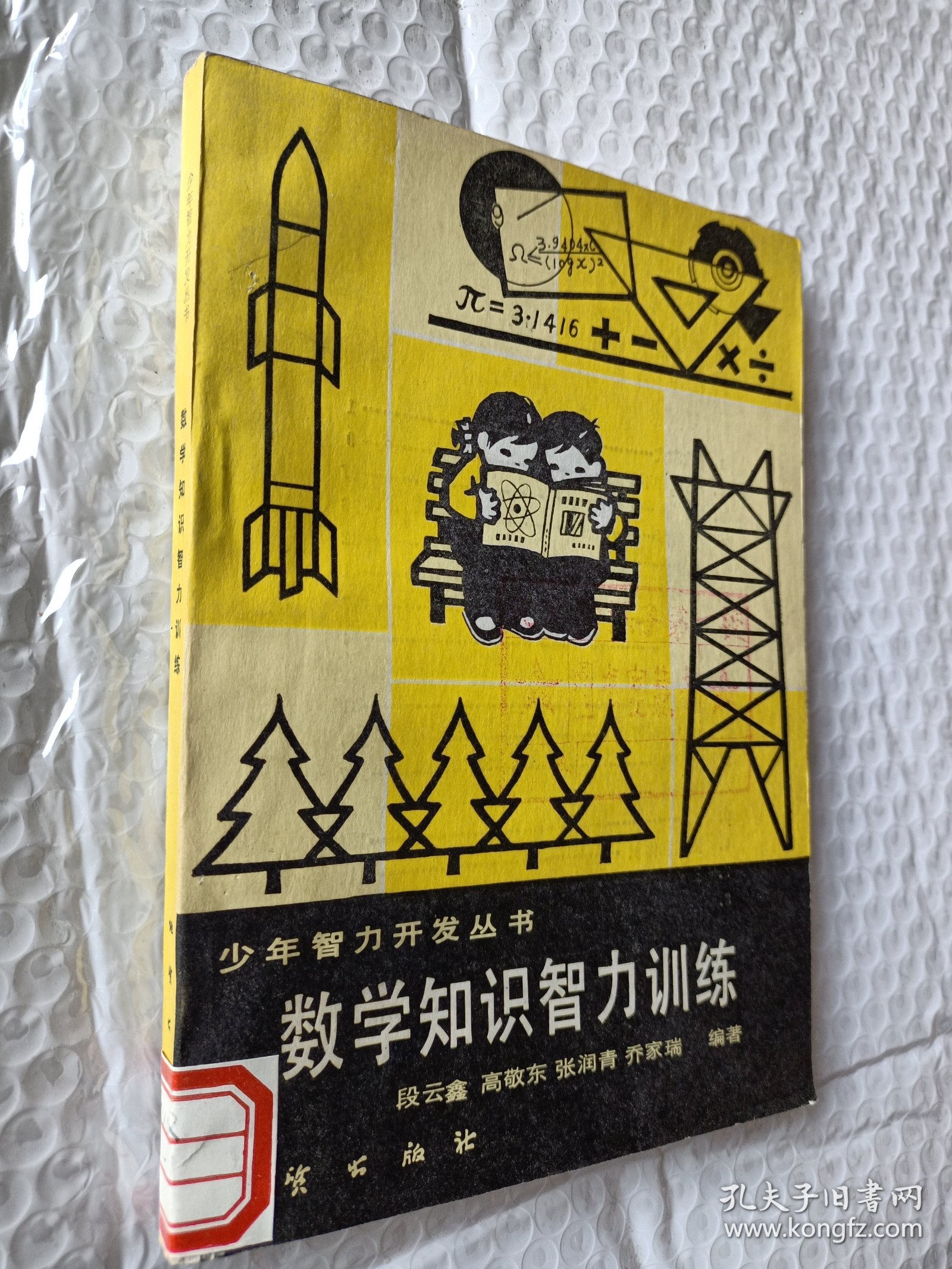 少年智力开发丛书，数学知识智力训练，段云鑫著，1982版