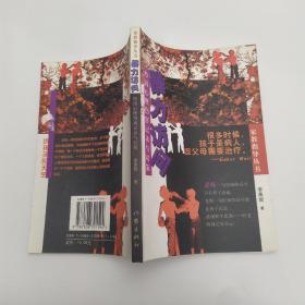 暴力访问：校园心理伤害记录与对策(85品大32开书名页书口有字迹2001年1版1印1万册223页18万字)54066