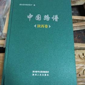 中国路谱（陕西卷）
