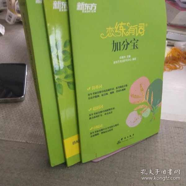 新东方 (2025)恋练有词：考研英语真题词汇6500分层串记(180°平铺版) 英语一英语二适用可搭英语黄皮书考研词汇恋词