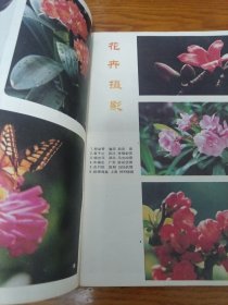 《花木盆景》1992年第2期 16开 j5nxb5
