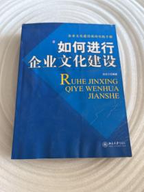 职业经理人十万个为什么：如何进行企业文化建设