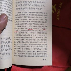 中国古典文学作品选读：白居易诗文选注