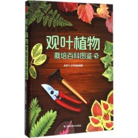 观叶植物栽培百科图鉴 吴棣飞 9787538496376 吉林科学技术出版社有限责任公司 2016-01-01 普通图书/生活