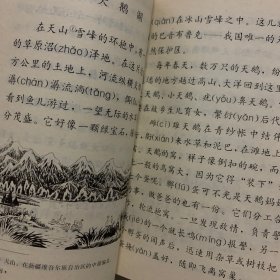 红云杉.九年义务教育六年制小学语文第七册自读课本