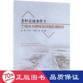 非恒定流条件下丁坝水力特性及冲刷机理研究