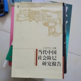 当代中国社会阶层研究报告
