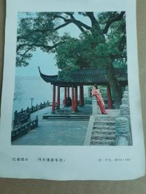 红装绿叶（四开）