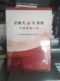 正確民族觀實踐典型案例匯編