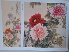 荣宝斋画谱213：牡丹芍药部分