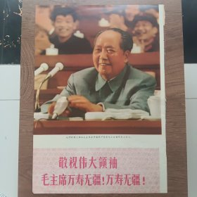 伟大领袖毛主席和他的亲密战友林彪副主席以及周恩来、陈伯达、康生、江青、张春桥、姚文元同志投票选举中国共产党第九届中央委员