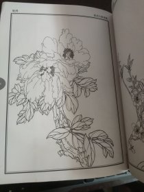 花卉白描课稿