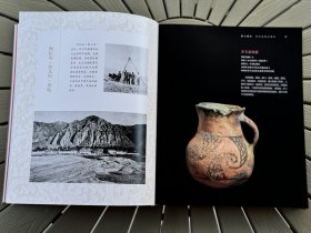 载瞻载止:新疆考古百年