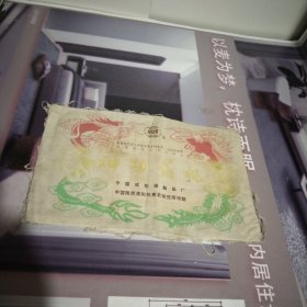 美国纽约第十四届世界发明家奖.国家成果奖.国家级星火计划项目.神功药枕.505.，(R).31.5cmx20cm