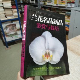 兰花名品新品鉴赏与栽培 王意成 著 江苏科学技术出版社