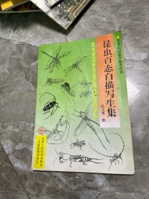 艺术院校教学参考丛书：昆虫百态白描写生集