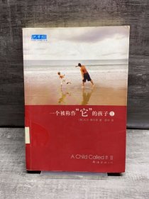 一个被称作“它”的孩子Ⅱ（缺失扉页，正文完好，详情看图）