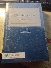 EU Labour Law: A Commentary欧洲劳动法评论