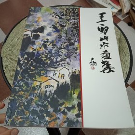 王一明山水画集