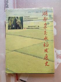 湖南杂交水稻发展史:1964～2000