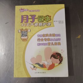 阳光大姐金牌育儿系列：月子记事