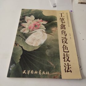 美术基础教学系列丛书：工笔禽鸟设色技法