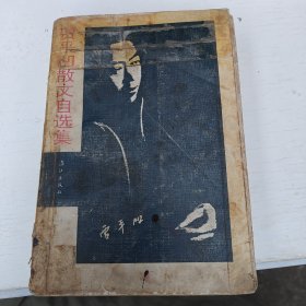 贾平凹散文自选集
