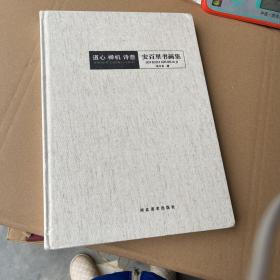 道心 禅机 诗意 安百里书画集