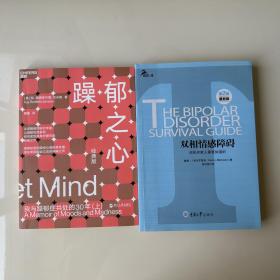 躁郁之心：我与躁郁症共处的30年(上)/
双向情感障碍