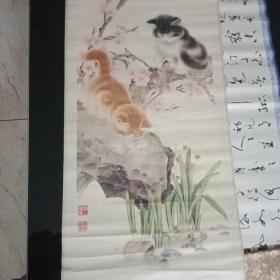 猫咪图