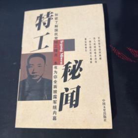 特工秘闻: 军统活动纪实..