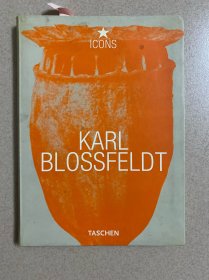 Karl Blossfeldt 卡尔·布洛斯菲尔德