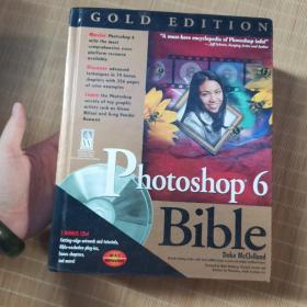 Photoshop 6 Bible 内带光盘一张【书名详情请看图