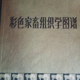 彩色家畜组织学图谱