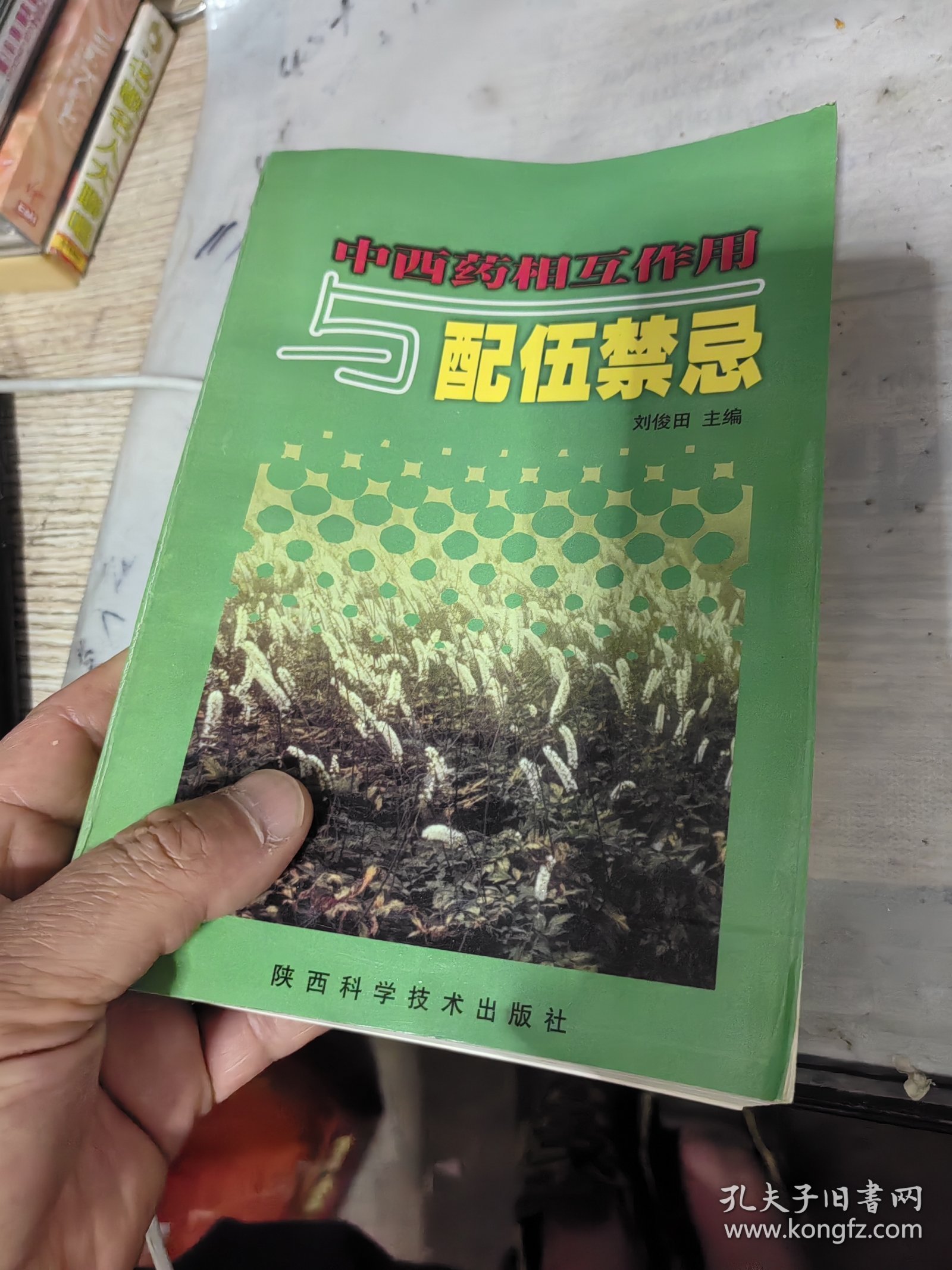 中西药相互作用与配伍禁忌。作者签名本，