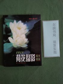 荷塘清风：荷花摄影精赏精解(私人藏书有章)