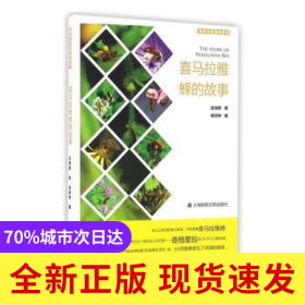 喜马拉雅蜂的故事