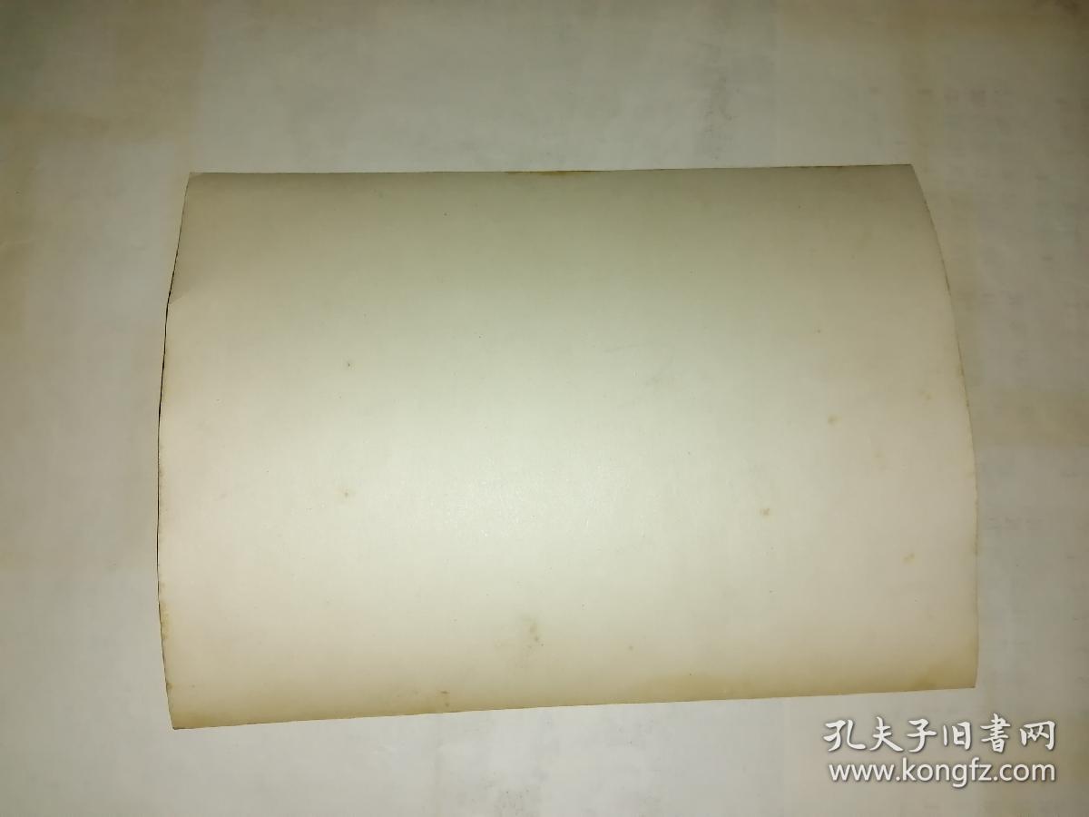 1953年北京/德意志民主共和国工业展览会印刷工作全员全体合影留影