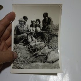 原海*航空学校教员，北京农学院农学系教授，甘蔗老人王寒照片