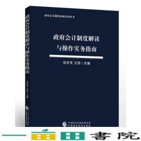 政府会计制度解读与操作实务指南