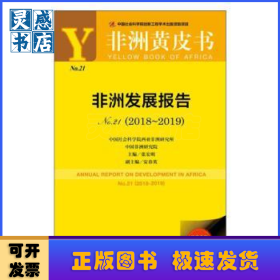 非洲发展报告:No.21(2018-2019):No.21(2018-2019)