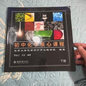 初中化学核心课程 下