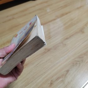中州风雷（河南民兵革命斗争故事）
