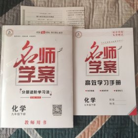 名师学案分层进阶学习法化学九年级下册(教师用书)名师教案二合一