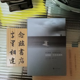 未来是一只灰色海鸥：西尔维娅·普拉斯诗全集（2013年一版一印）