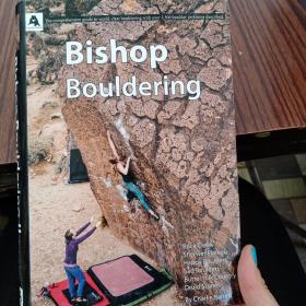 Bishop Bouldering II