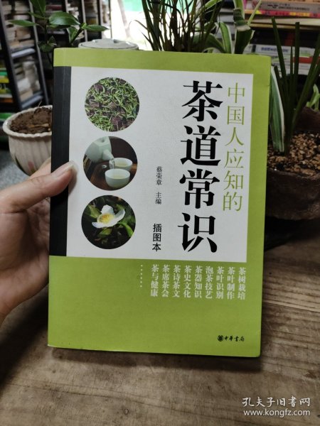 中国人应知的茶道常识