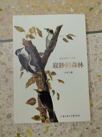 长白山飞鸟集 寂静的森林