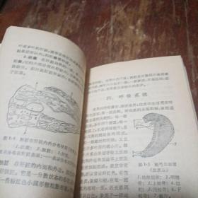 鱼病防治手册