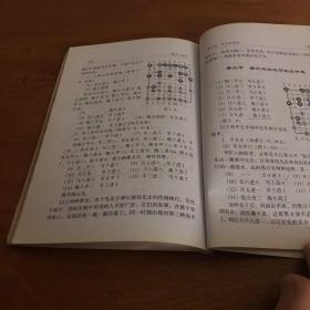 棋理与棋术——象棋中级教程